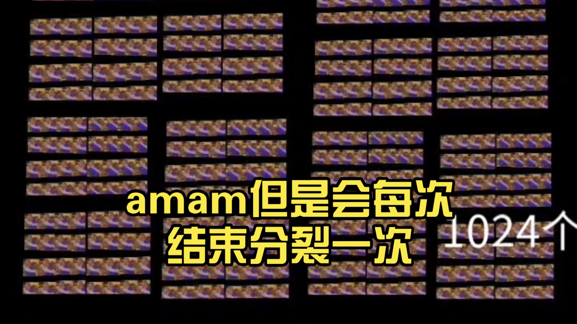 amam但是会每次结束分裂一次,直到67108864个崩溃为止哔哩哔哩bilibili