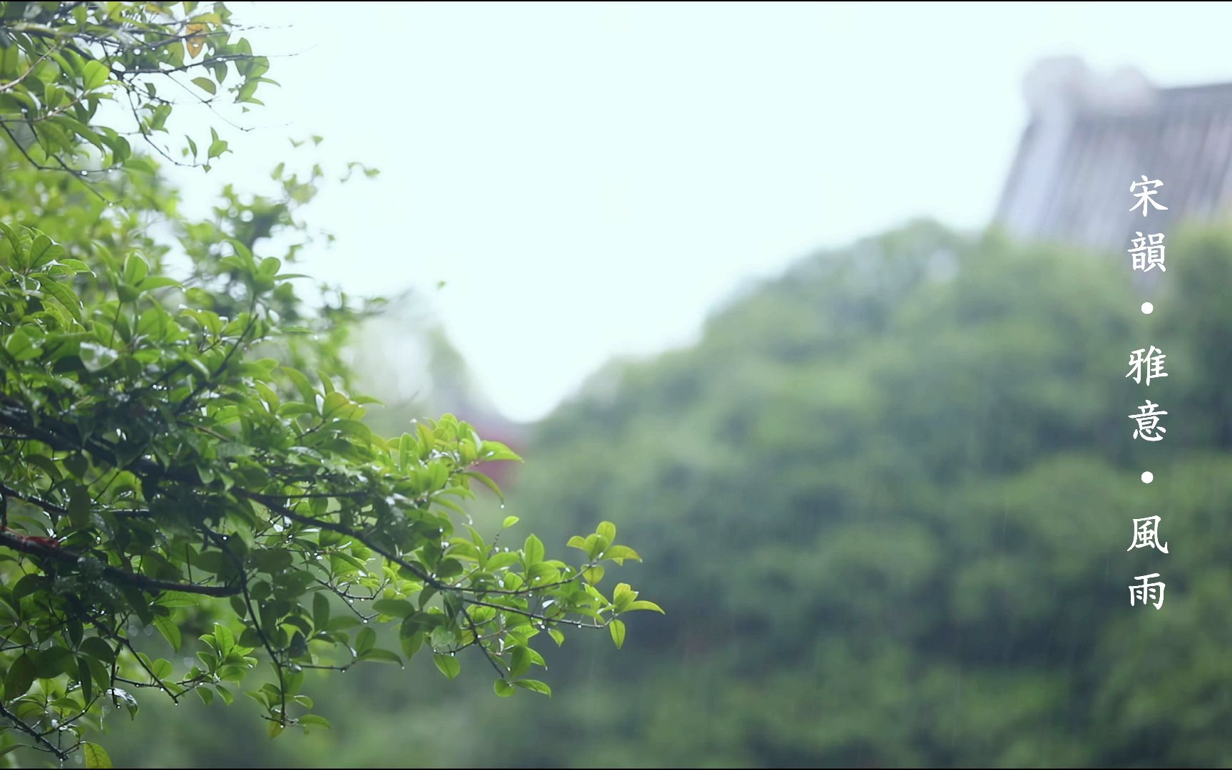 [图]建築氛圍篇丨13丨臥闌夜聽風吹雨