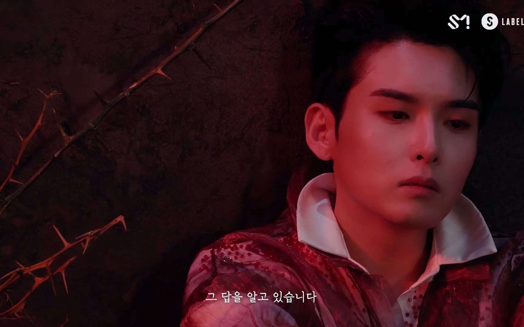 suju金厉旭awildrose概念预告初公开