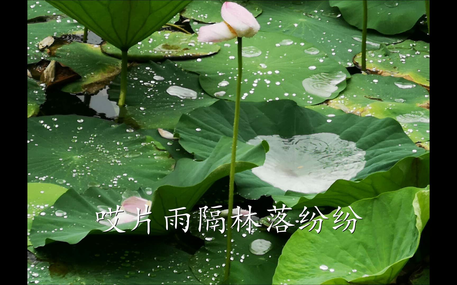 [图]《落雨 相思 》于丽娜