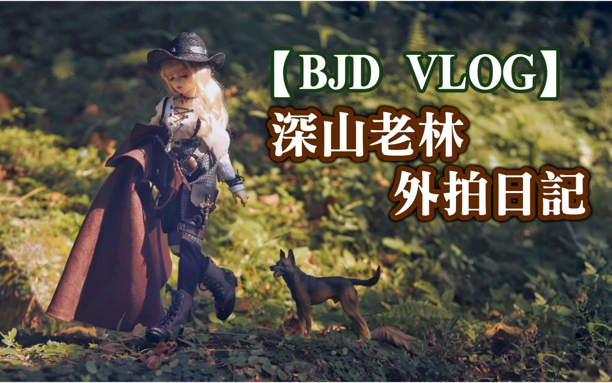 【BJD VLOG】深山老林外拍日记︱蜜蜂好多啊啊啊妈妈救命!!!哔哩哔哩bilibili