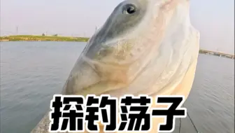 谁能告诉我跑的那条什么鱼