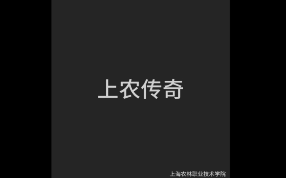 无论天堂还是地狱,这些都与那个地方无缘——密斯卡托尼克大学哔哩哔哩bilibili