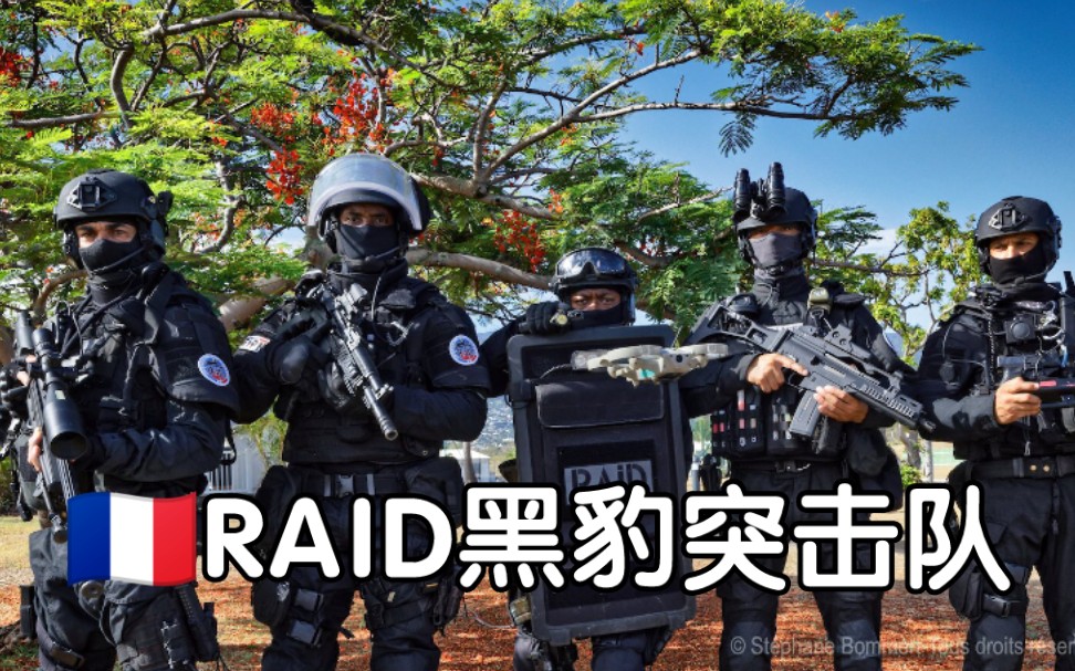 [图]【POLICE】法国查理周刊恐怖袭击事件中英勇的特警黑豹突击队RAID和BRI