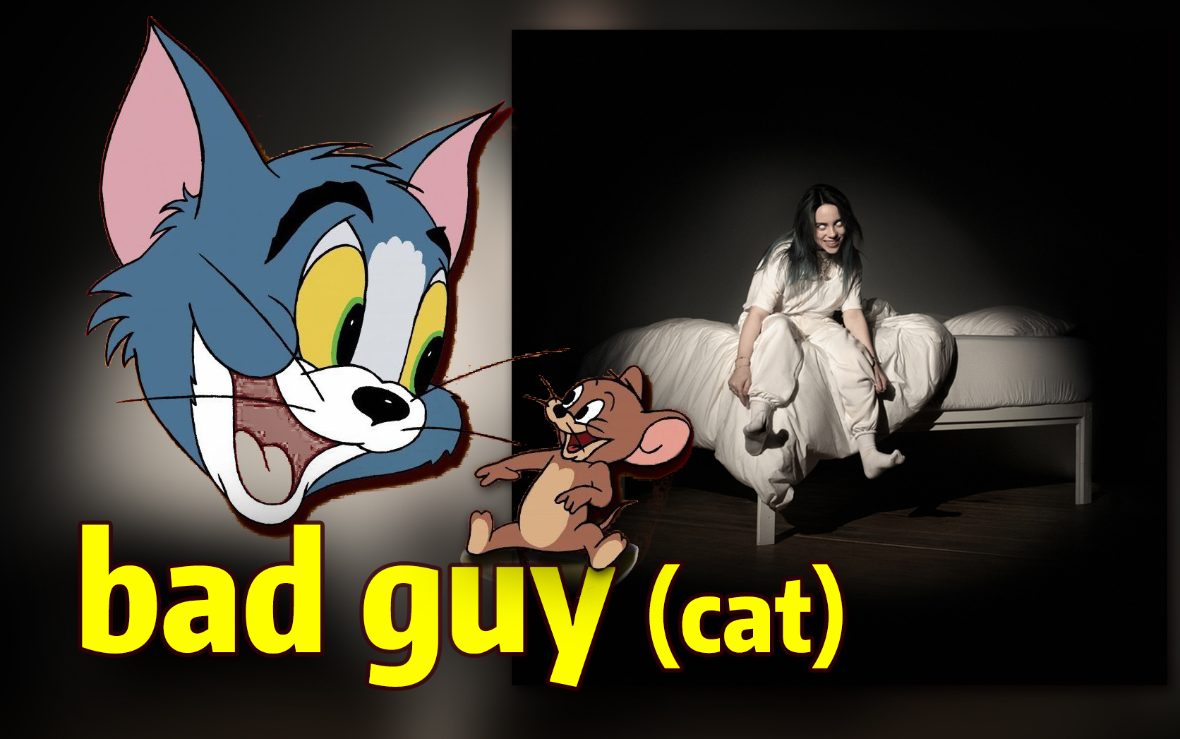 【猫鼠电音】bad cat_哔哩哔哩_bilibili