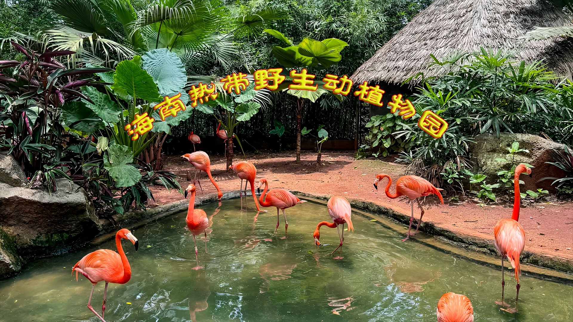 海南热带野生动植物园