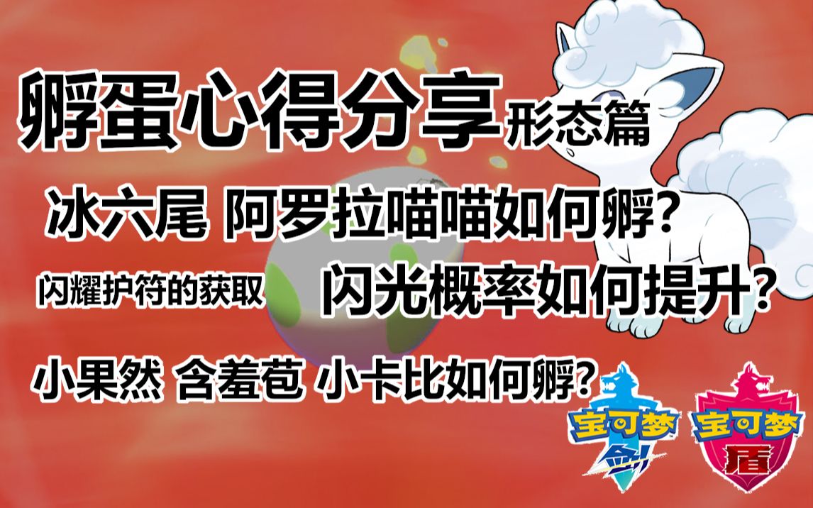 [宝可梦剑盾]孵蛋心得分享形态篇/剑盾孵出冰六尾?小果然怎么孵?闪光概率怎么算?超详细教程/闪耀护符获取/不变石妙用/地区形态哔哩哔哩bilibili