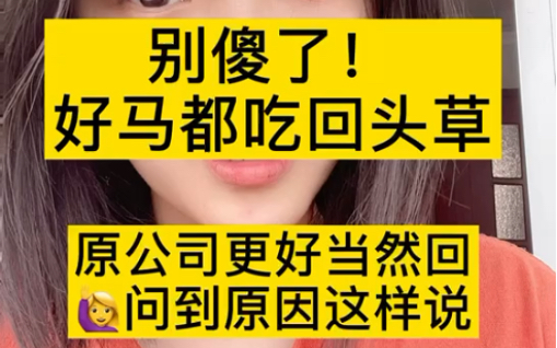 被社会毒打后,想回原公司上班,到底该怎么说…哔哩哔哩bilibili