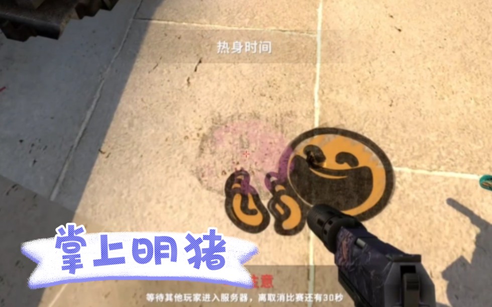 csgo之你是我的掌上明珠