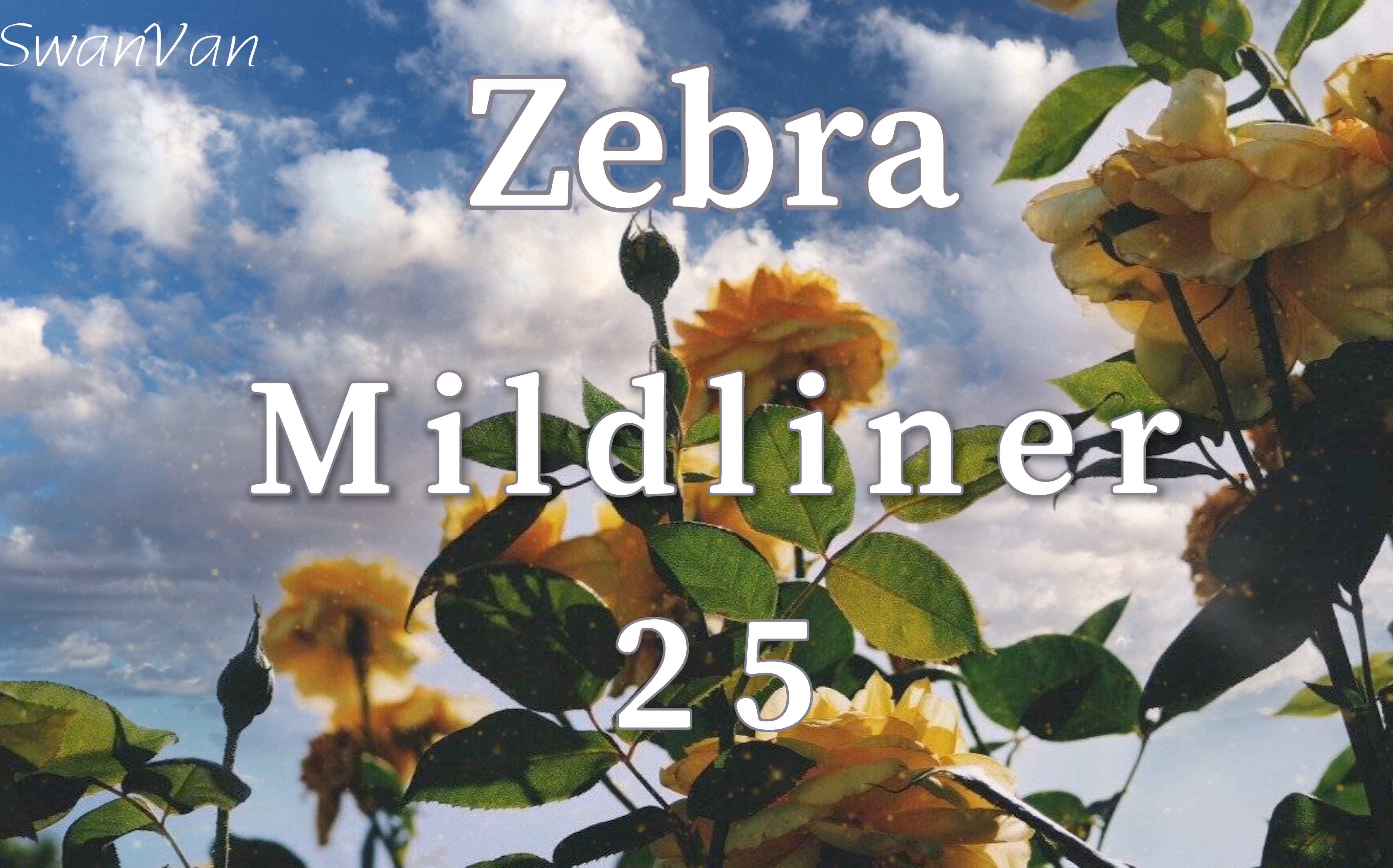 【文具】斑马 Zebra Mildliner 淡色荧光笔25色全哔哩哔哩bilibili