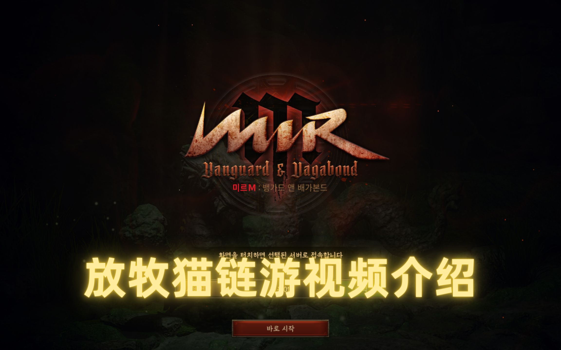 活动作品gamefi传奇m韩服测试期待越高失望越大