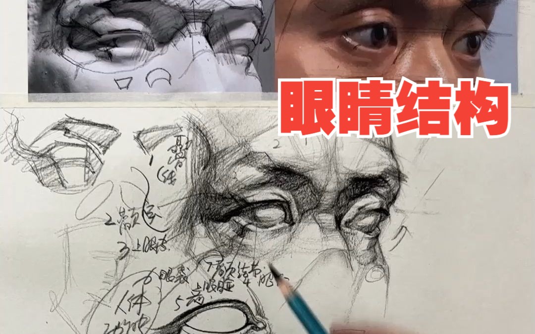 素描头像 眼睛结构重点分析!哔哩哔哩bilibili