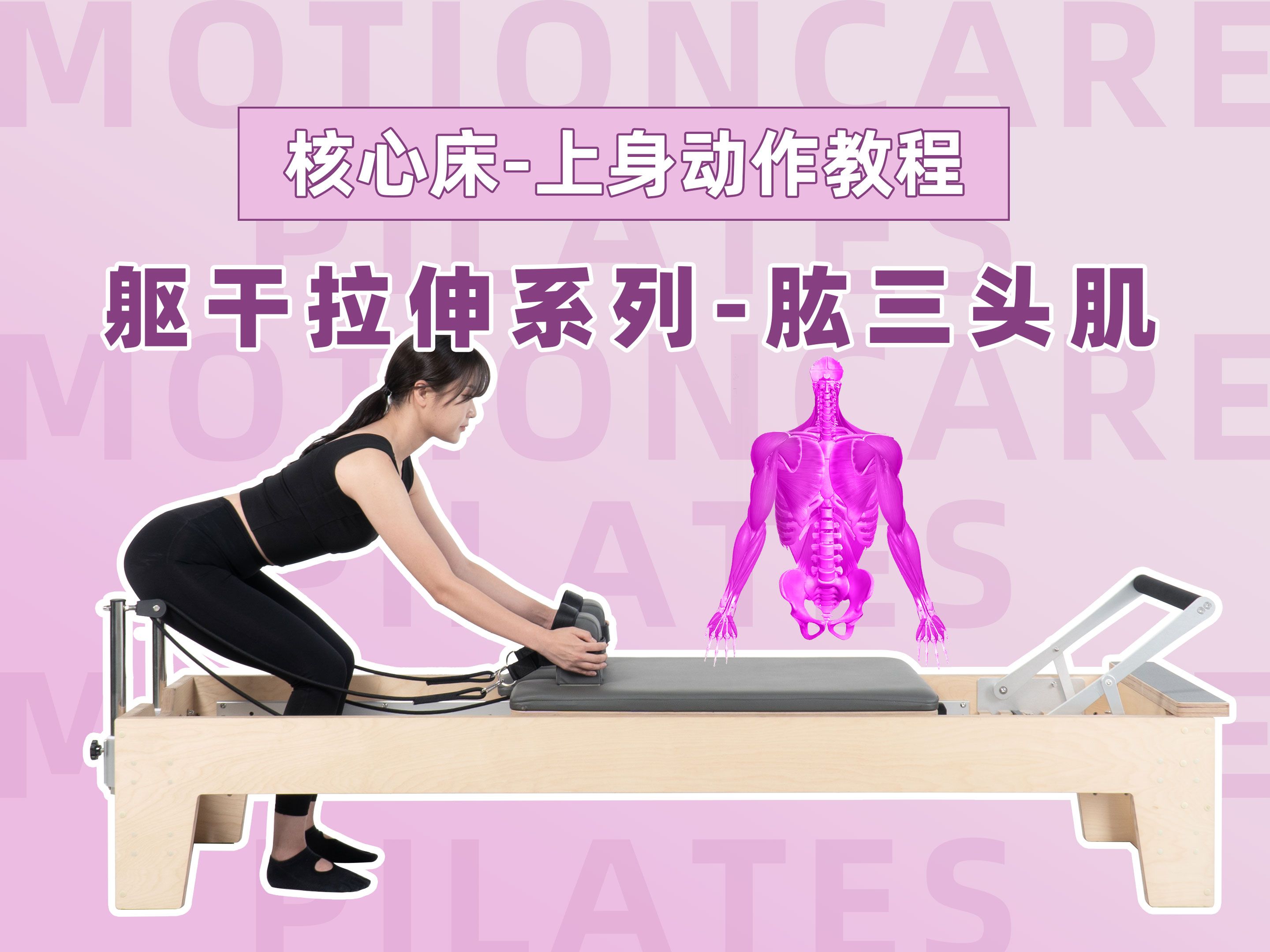 no13.肱三头肌练习(伸展脊椎,稳定肩关节)
