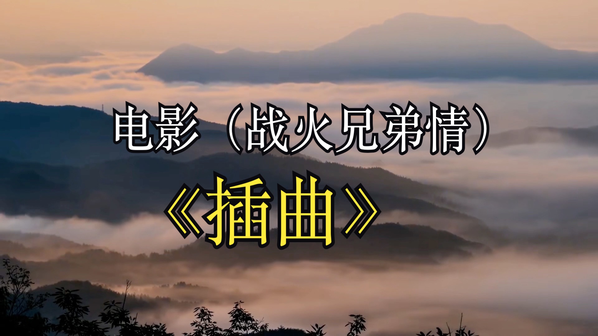 战火情缘播放全部