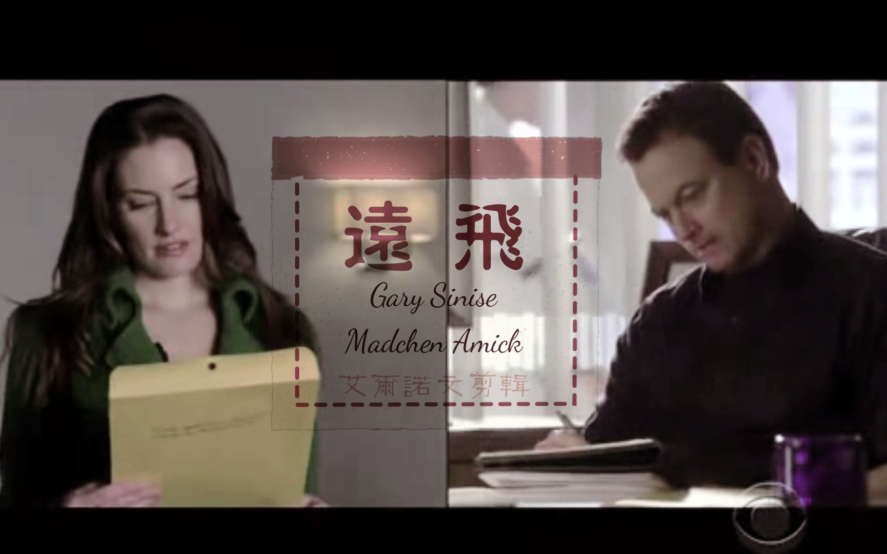 【Gary Sinise|Madchen Amick】【远飞】哔哩哔哩bilibili