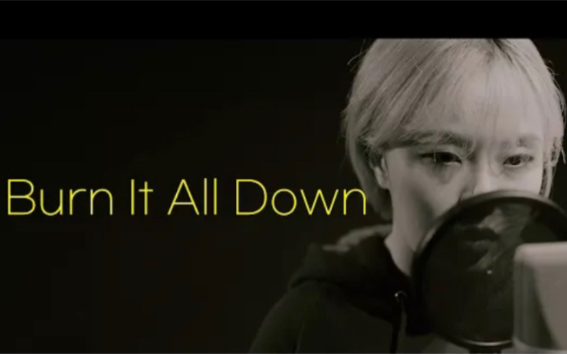 [图]英雄联盟《Burn It All Down》翻唱，音乐响起热血沸腾！