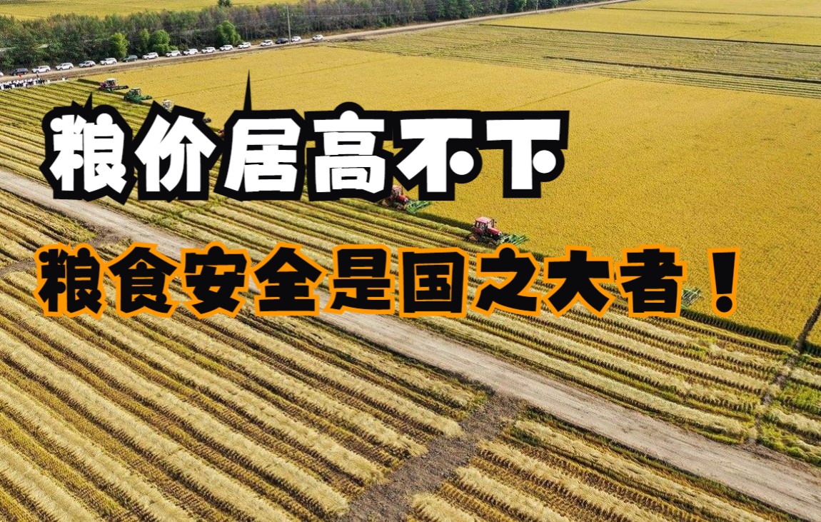 [图]粮价居高不下 粮食安全是国之大者！