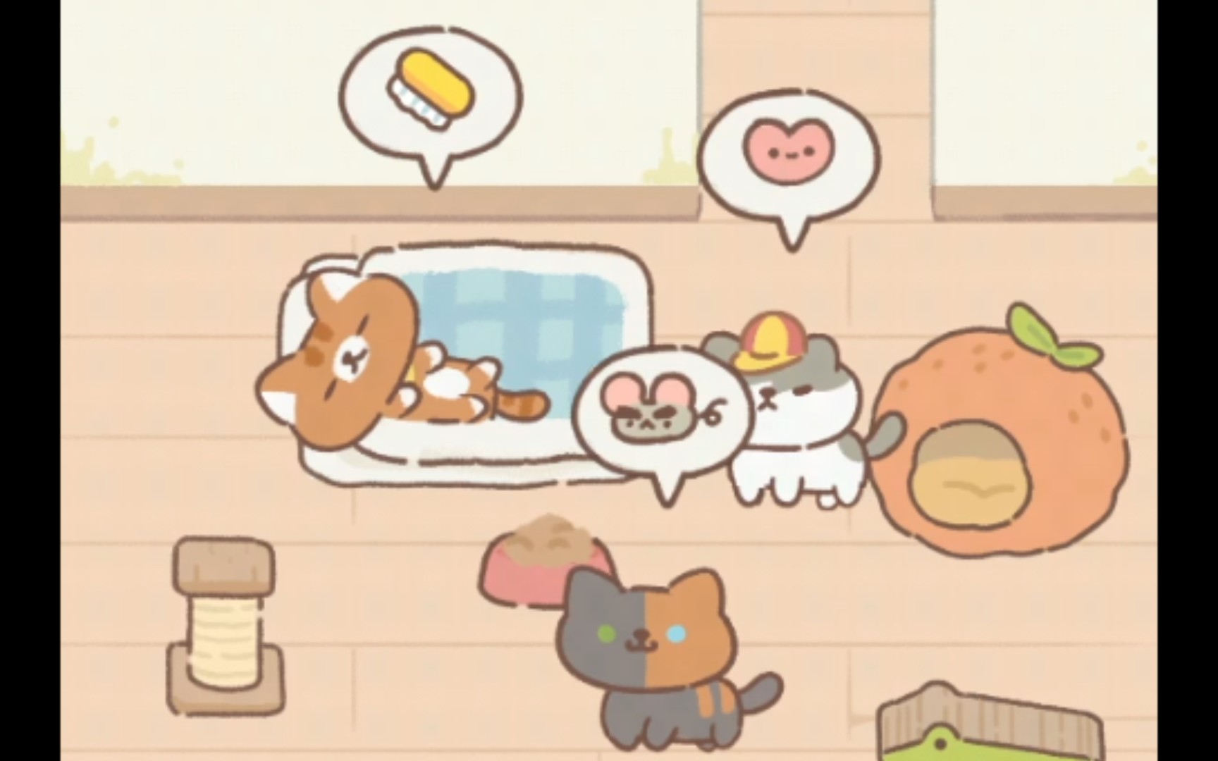活动作品遇见你的猫小橘真的好可爱