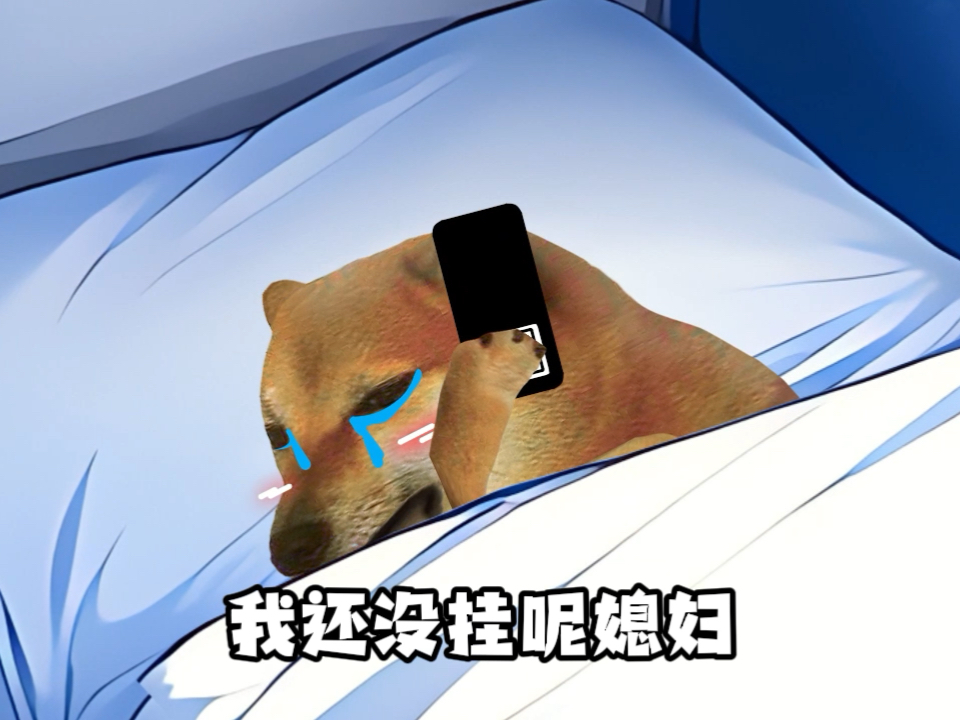 《妻宝男》哔哩哔哩bilibili