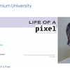 【中英字幕】像素的一生 Life of a Pixel - Steve Kobes 2020版_哔哩哔哩_bilibili