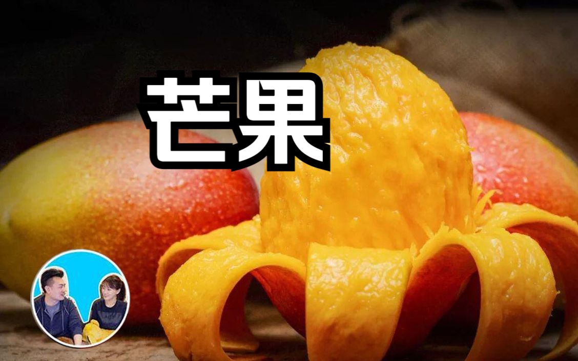 芒果 老高与小茉-老高与小茉最新-老高与小茉最新-哔哩哔哩视频