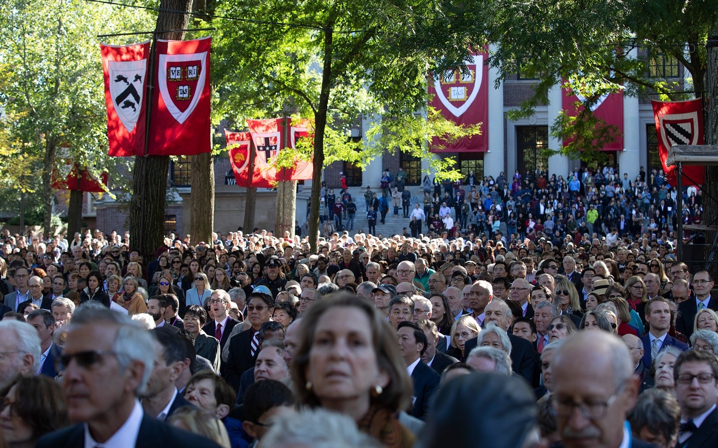 Harvard University哈佛大学宣传片Anything Could Happen哔哩哔哩bilibili