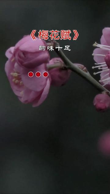 国粹京歌《梅花赋》,一支梅花,一首诗,一抹相思,一念情怀,堪称经典,越听越喜欢哔哩哔哩bilibili