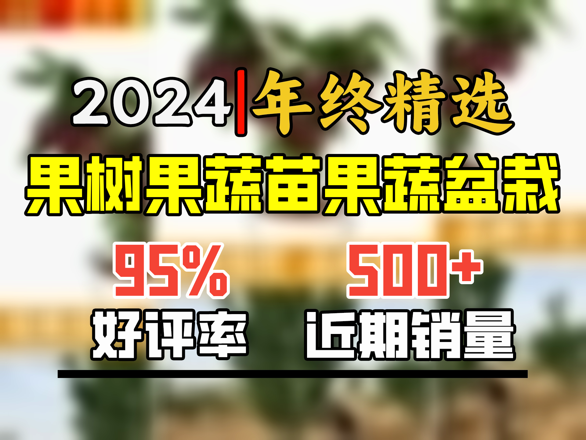 欧悟【买2颗送1颗】嫁接车厘子树苗大樱桃树苗盆栽果树苗木南北方种植 黑珍珠樱桃苗 七年大苗(结果多)哔哩哔哩bilibili