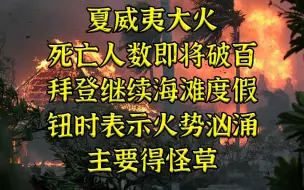 下载视频: 夏威夷大火死亡即将破百，纽时：火势大原因在草