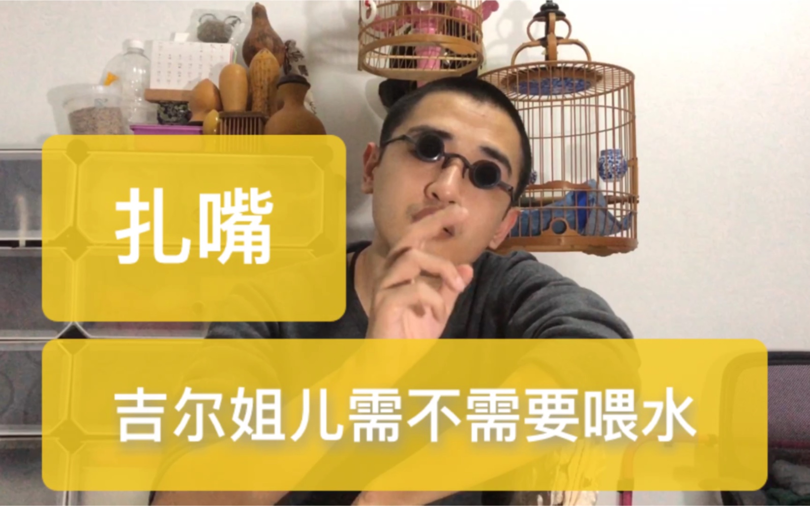 活动作品这种冬季鸣虫北方叫扎嘴南方叫吉尔姐儿虫子需不需要喂水