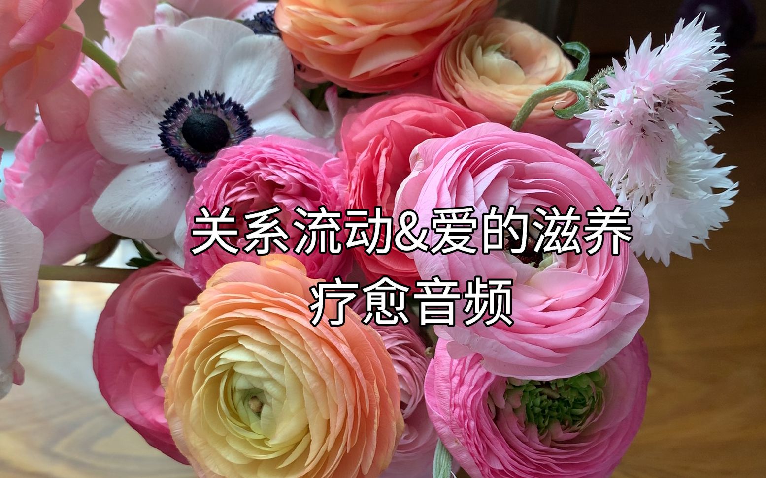 头脑广播体操关系流动爱的滋养疗愈音频