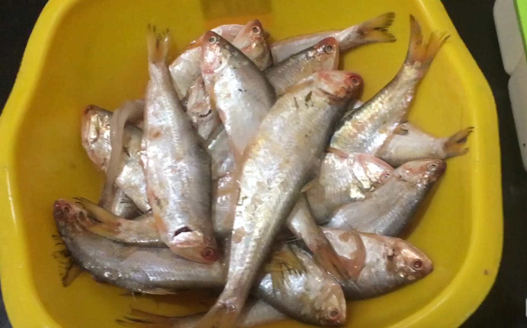 子小丰色香煎刺鱼鱼刺也能吃还补钙