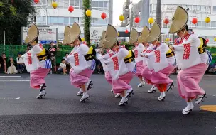 Descargar video: 日本德岛阿呆连热闹的阿波踊り（阿波舞）表演~