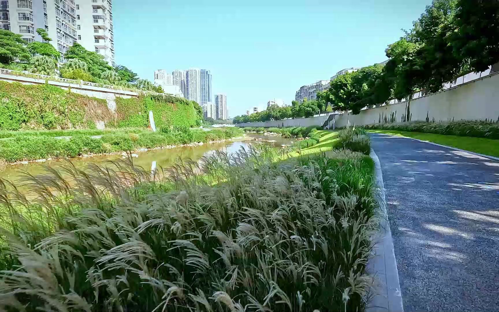 龙岗河碧道示范段