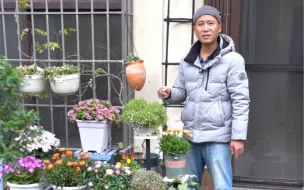 Descargar video: 草本植物有寿命，时间一到就嗝屁，教你如何永远留住它