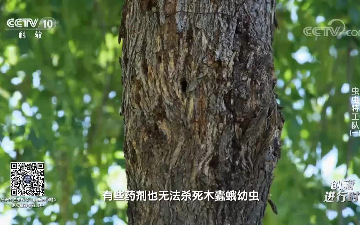 [图]《创新进行时》 虫虫特工队【2集全】