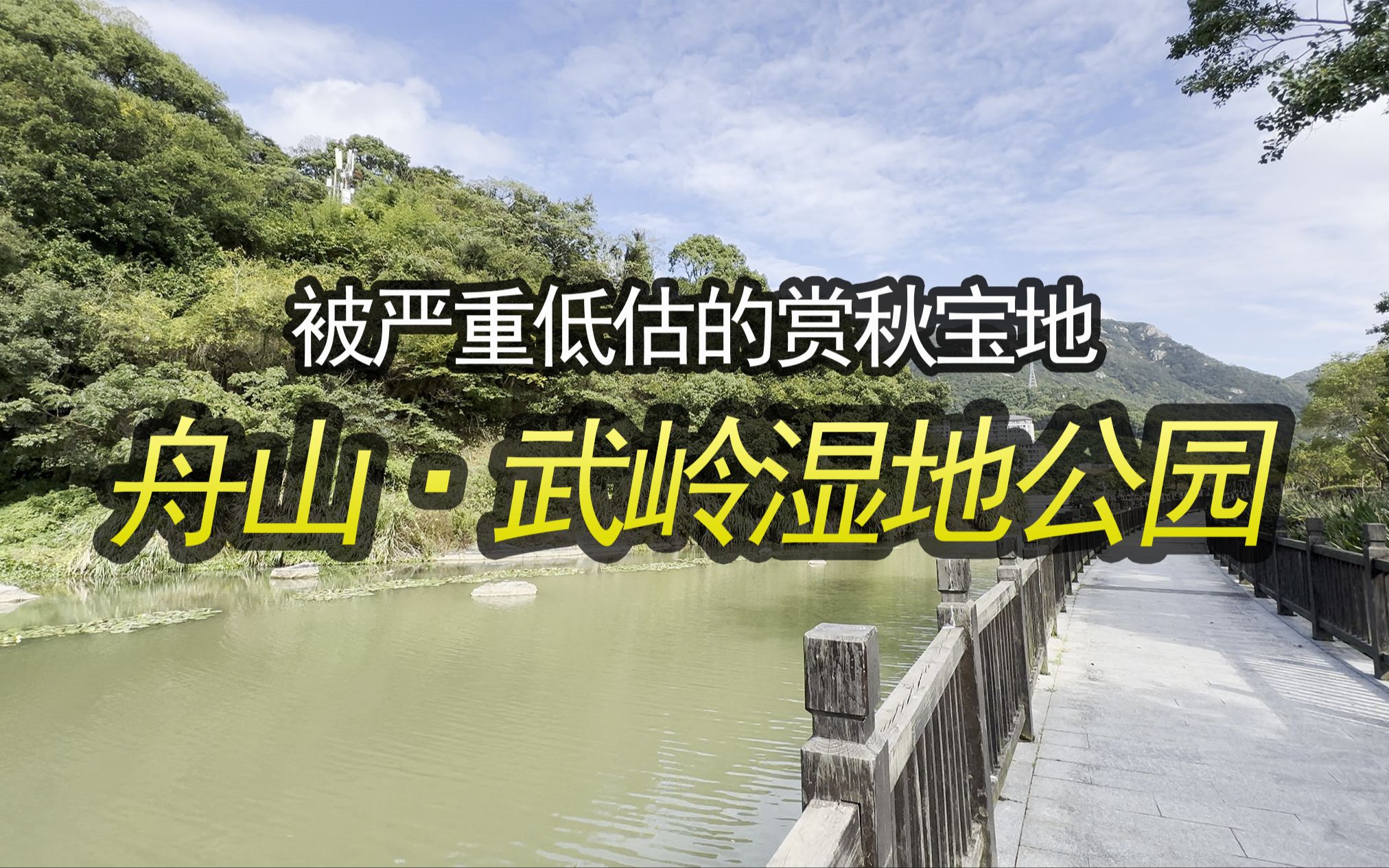 【city walk】舟山东港武岭湿地公园,闹中取静的天然氧吧,拍摄日期