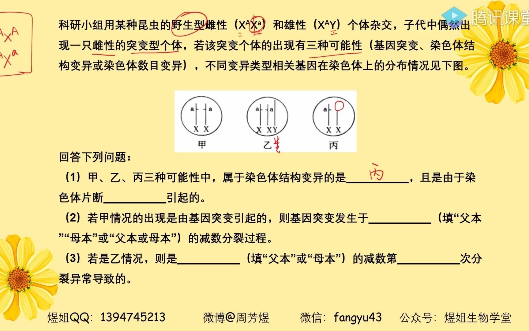 82 【技巧30】遗传16:染色体异常遗传分析哔哩哔哩bilibili