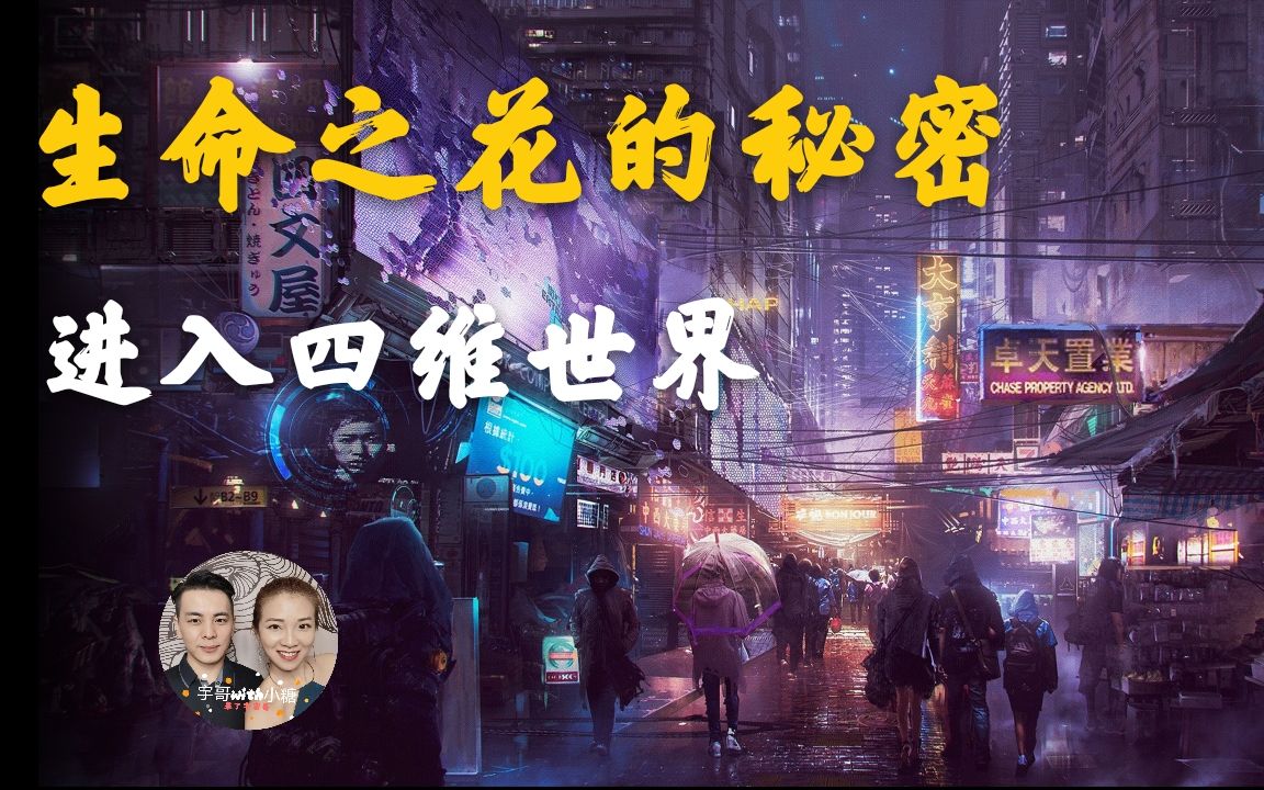 生命之花,四维真实描述,人类三维升四维的过程,进入四维世界哔哩哔哩bilibili