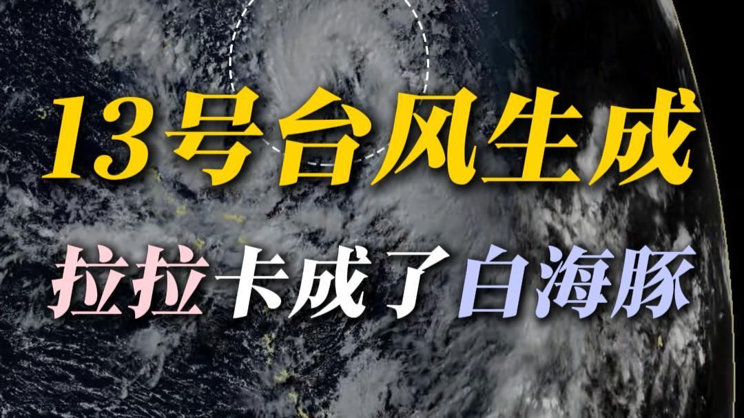 17级超强台风保底，但出生就倒在偏见里？
