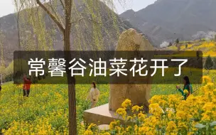 Tải video: 常馨谷的油菜花开了，不建议现在来