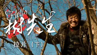 《Hello!树先生》拉片解析（下）—千里游魂 无根之树！疯子是快乐还是痛苦的？