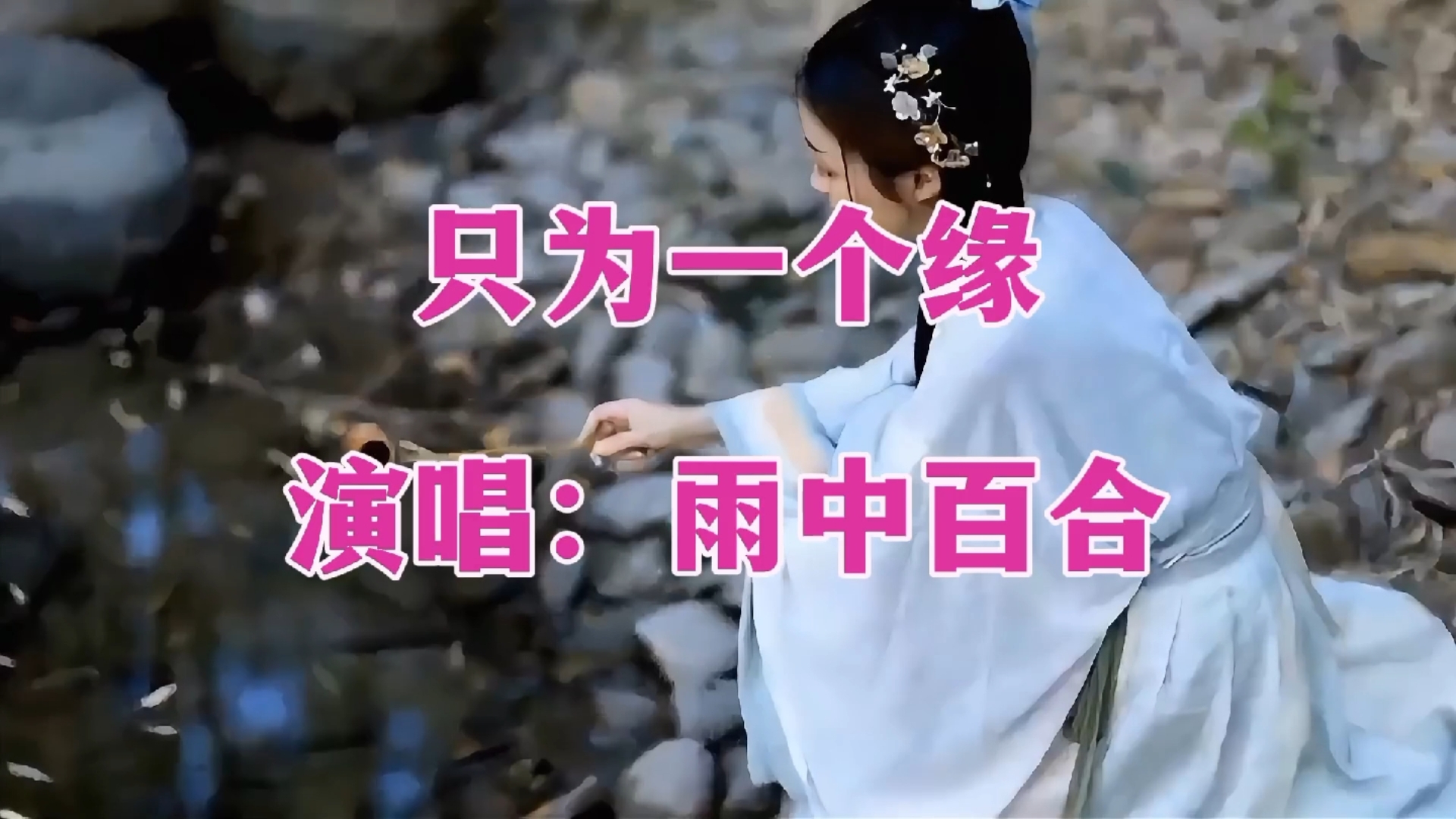 雨中百合一首《只为一个缘》旋律凄美伤感,歌声深情感人