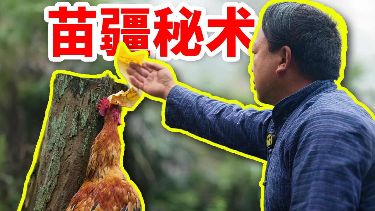 死鸡都能复活？苗疆秘术太离谱了！
