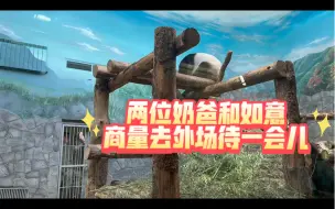 Download Video: 两位奶爸一起劝如意出去，并拍下了如意闹小脾气的视频