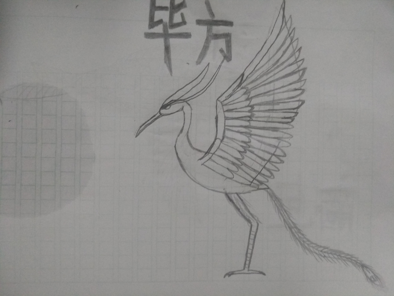 【绘画】毕方(同人自创魔物)