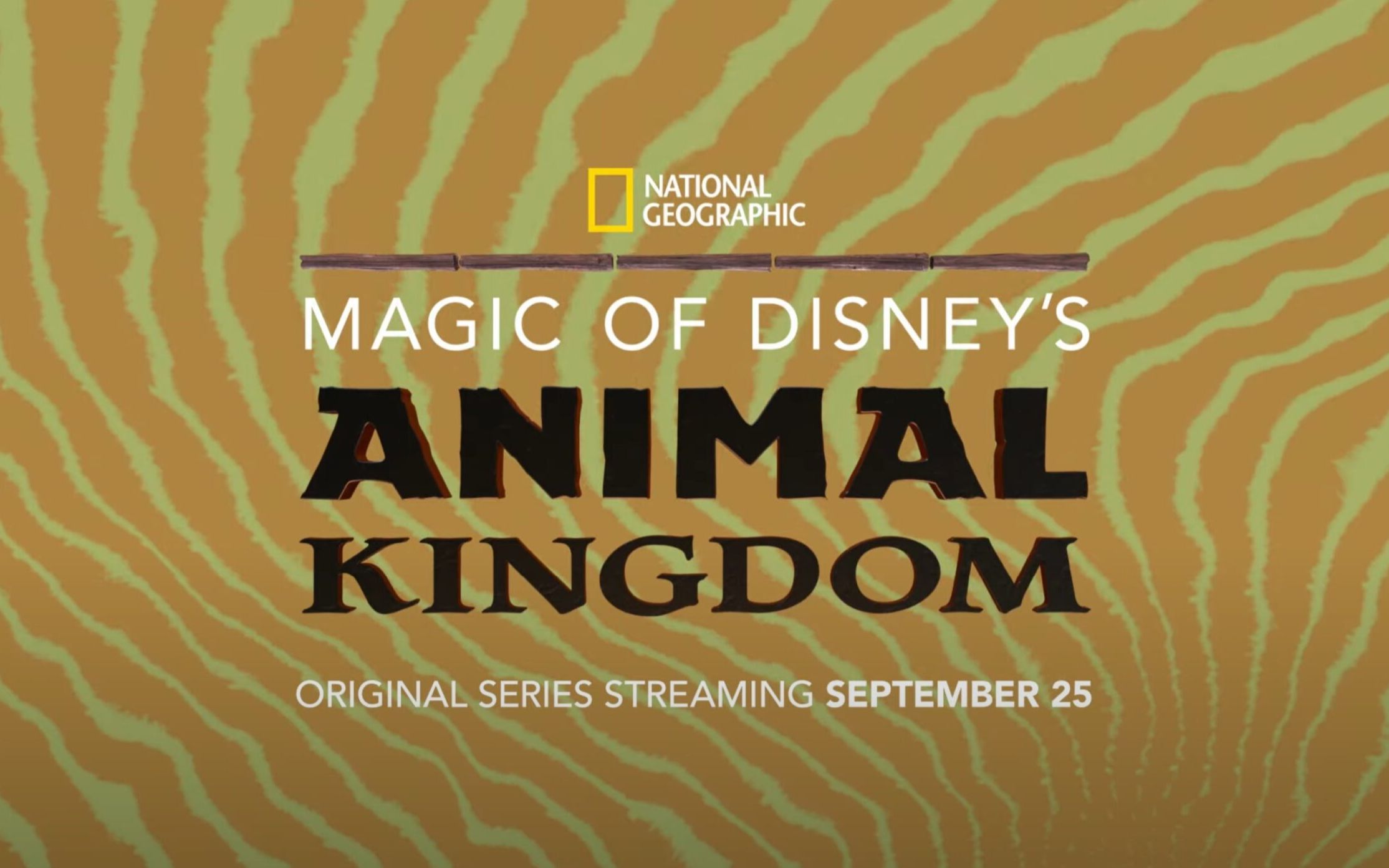 [图]迪士尼动物王国探奇 第一季 Magic of Disney's Animal Kingdom