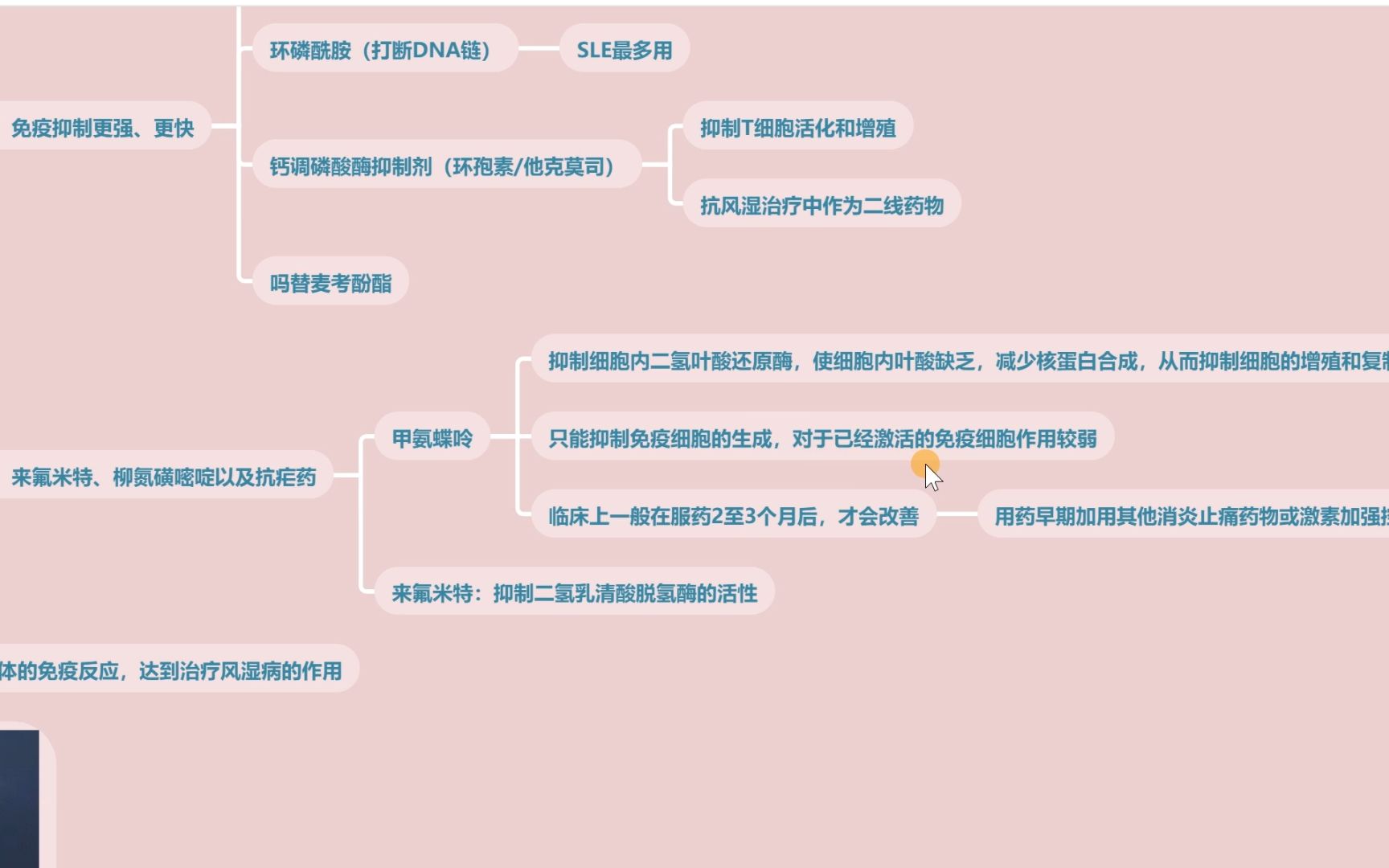 CTDILD哔哩哔哩bilibili