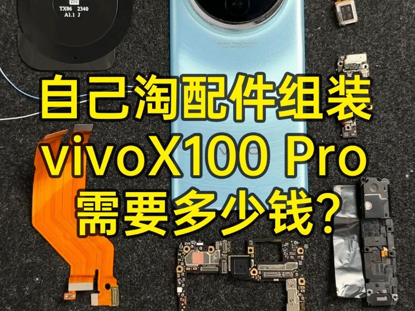 自己淘配件手搓一台散装vivox100pro哔哩哔哩bilibili