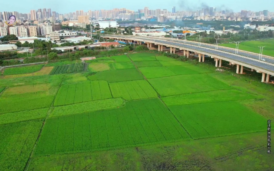 广东湛江市,地理位置优越,近年来城建发展越来越好,有望能挤进二线城市吗?哔哩哔哩bilibili